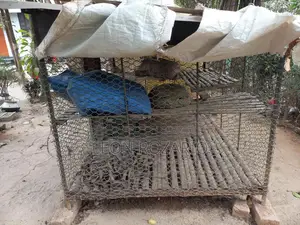 মুরগির খাঁচা