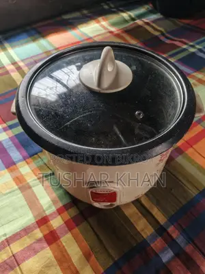 সিঙ্গার রাইস কুকার