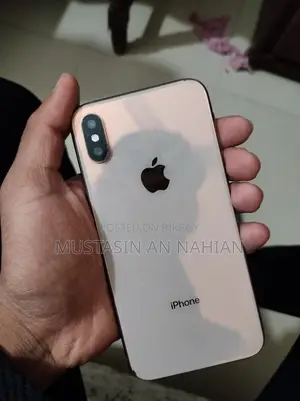 Apple iPhone XS 256 GB (Used)