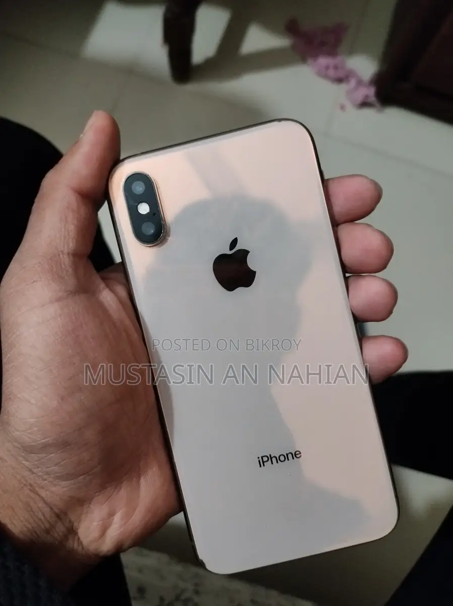 Apple iPhone XS 256 GB (Used)