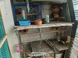Cage for Sale