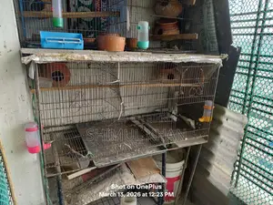 Cage for Sale