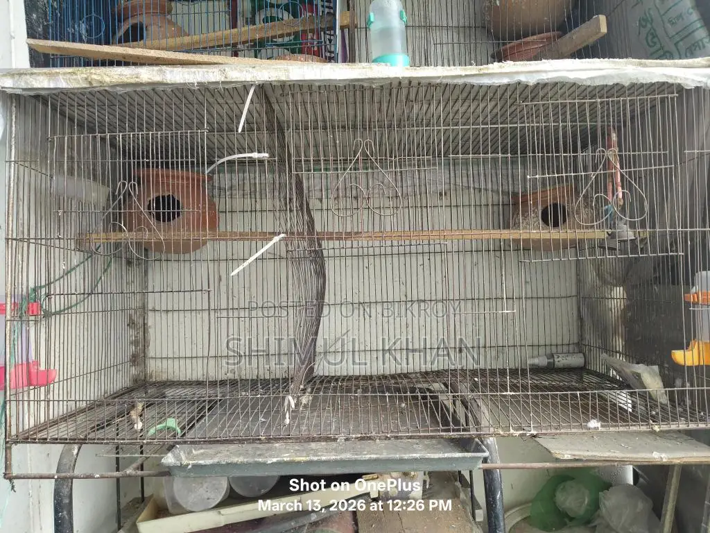 Cage for Sale