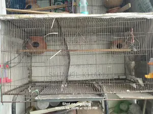 Cage for Sale