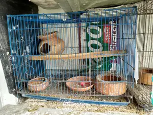 Cage for Sale