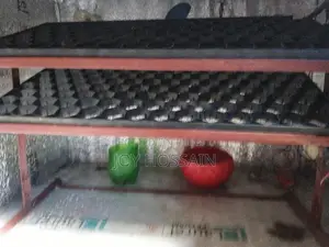 ইনকিউবেটর মেসিন