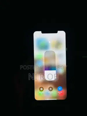 Apple iPhone XS Max 256 GB (Used)