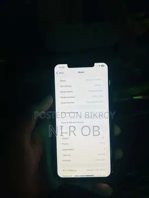 Apple iPhone XS Max 256 GB (Used)