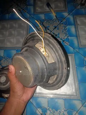 6" Inch Bass Speaker