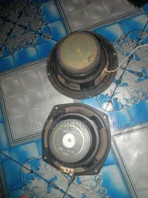 6" Inch Bass Speaker