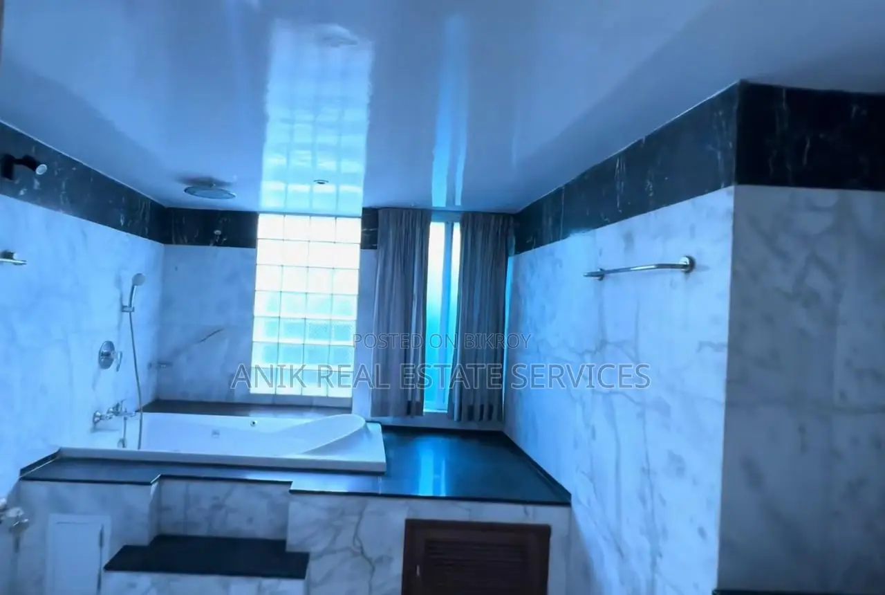 Luxurious Semi Farnised 7000 Sft Flat Rent At Baridhara