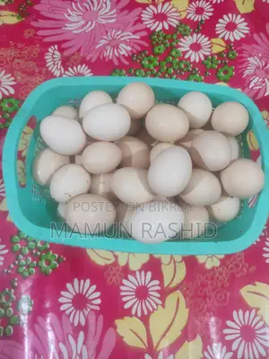 নিজের পালা দেশী মুরগীর ডীম