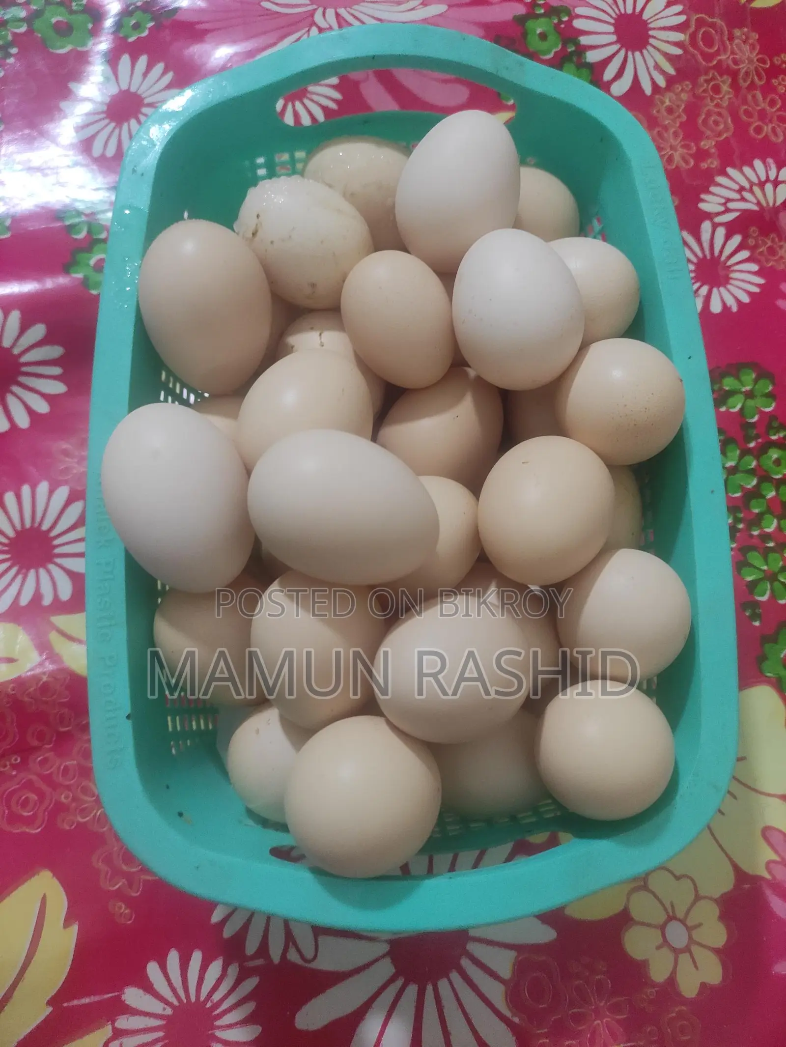 নিজের পালা দেশী মুরগীর ডীম