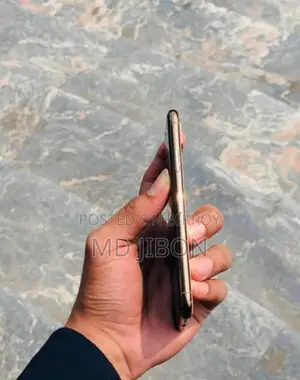 Apple iPhone X (Used)