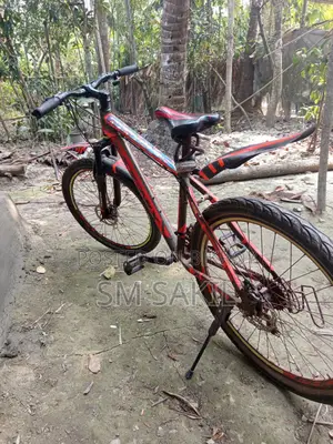 Bicycle for Sale