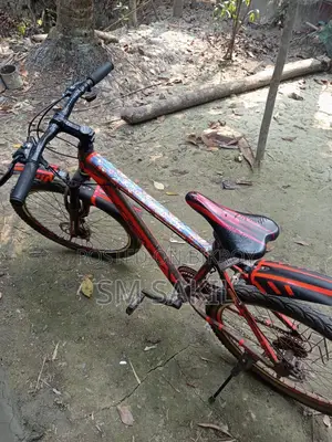 Bicycle for Sale