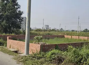 N-block 3 Katha Plot Sale (Serial-2400) Bashundhara R/A Dhaka.