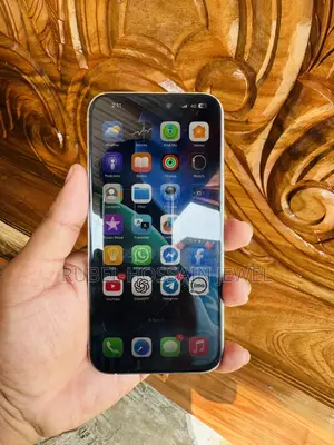 Apple iPhone 14 Pro Max (Used)