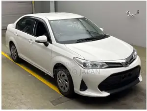 Toyota Axio EX 2020