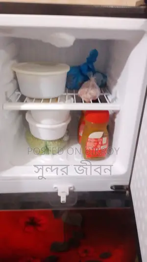 Freezer Sell