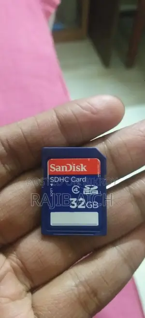 Sandisk 32 GB Memory Card