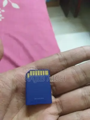 Sandisk 32 GB Memory Card