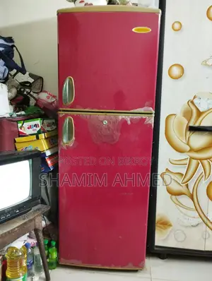 Singer Fridge