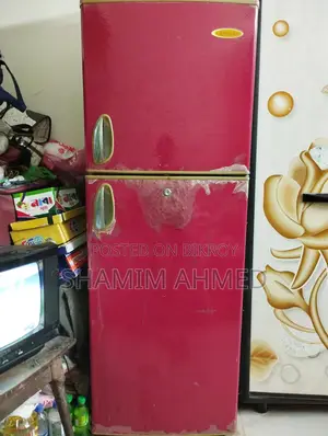 Singer Fridge
