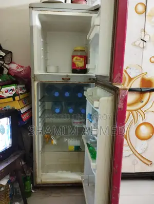 Singer Fridge