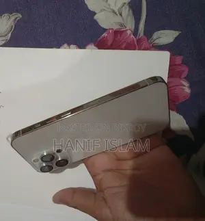 Apple iPhone 13 Pro ` (Used)