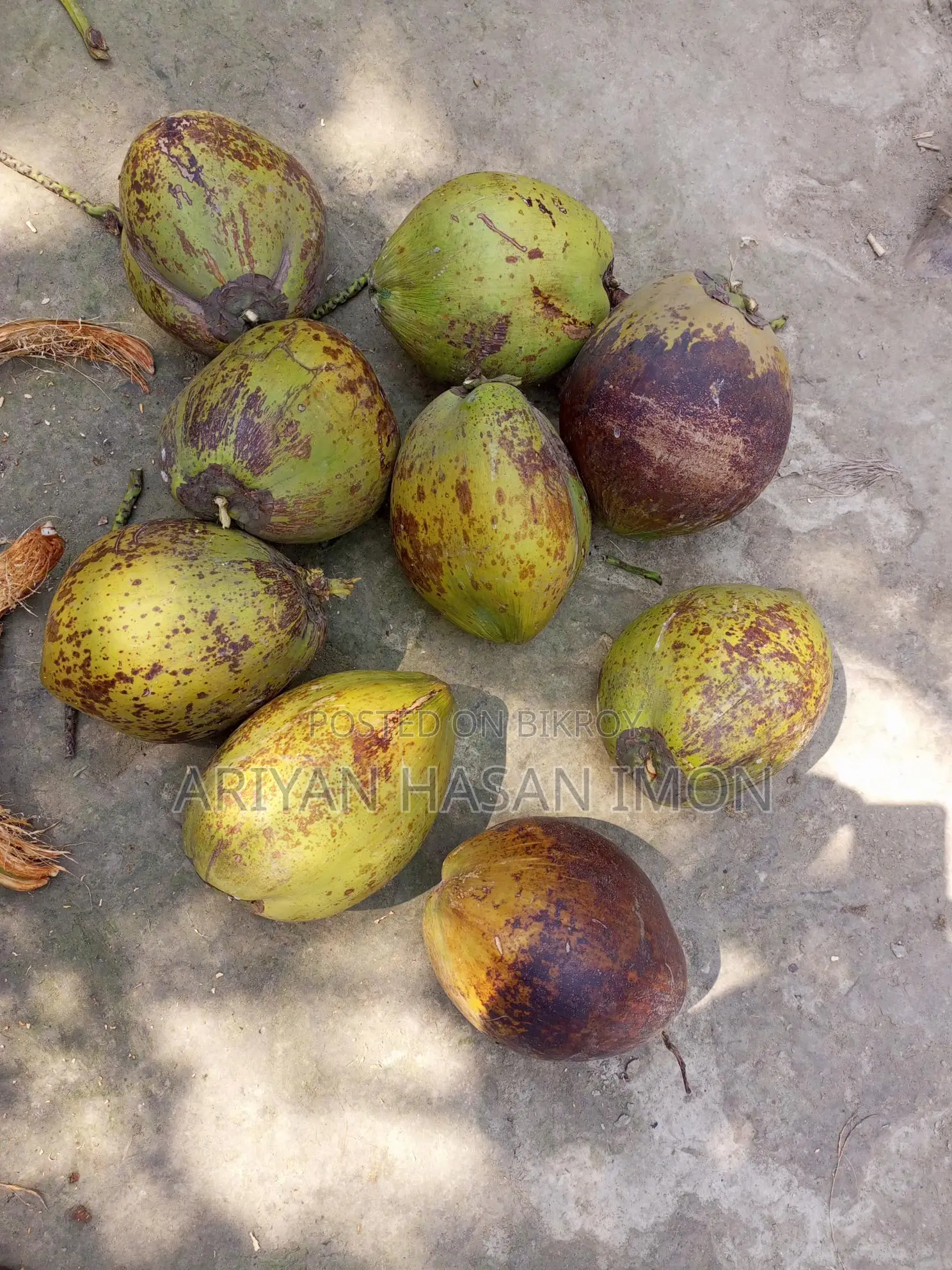 নারকেল বিক্রি