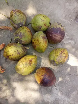 নারকেল বিক্রি
