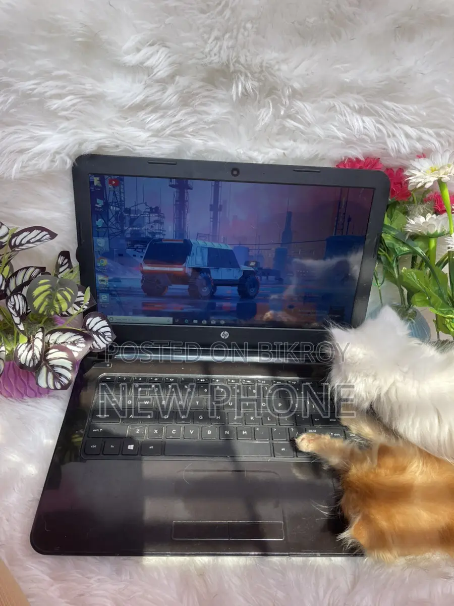 Hp Laptop Fresh Condition