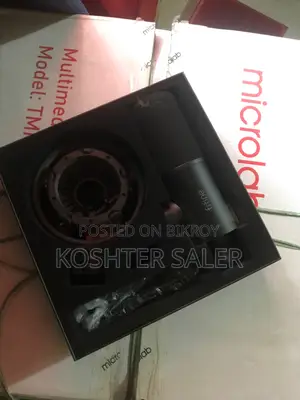 Microphone for Professionals