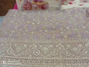 Embroidered Saree and Orna