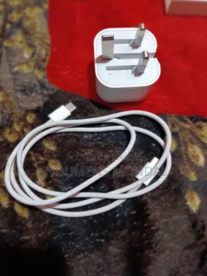 মাত্র ২২ দিন ব্যবহৃত Apple Original 20w Charger Usb-C to C Cable
