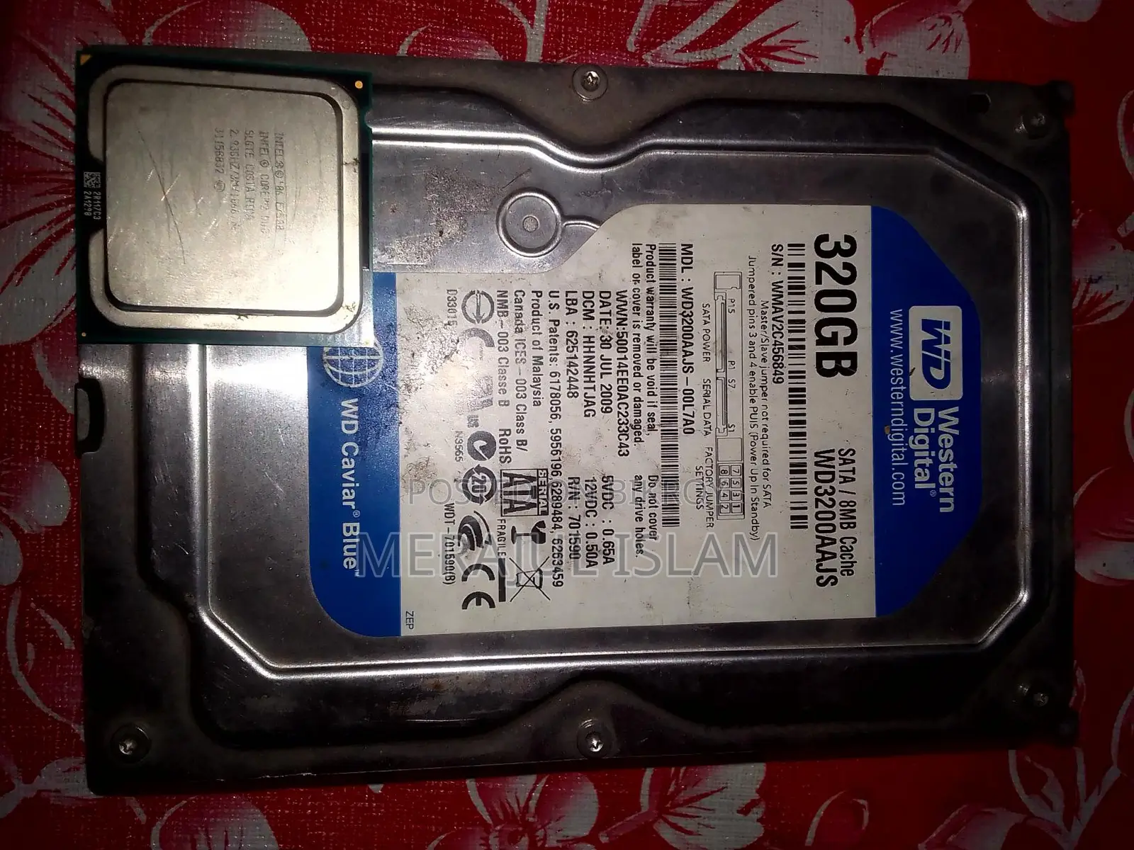 WD Caviar BLUE 320 GB