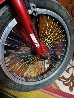 Bicycle is like new
