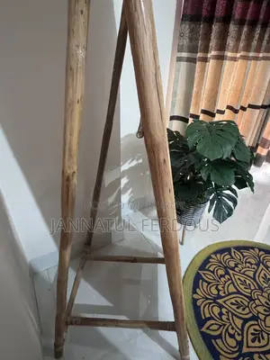 Cane Mirror