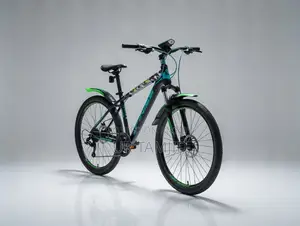 Absolutely Fresh Condition Bicycle