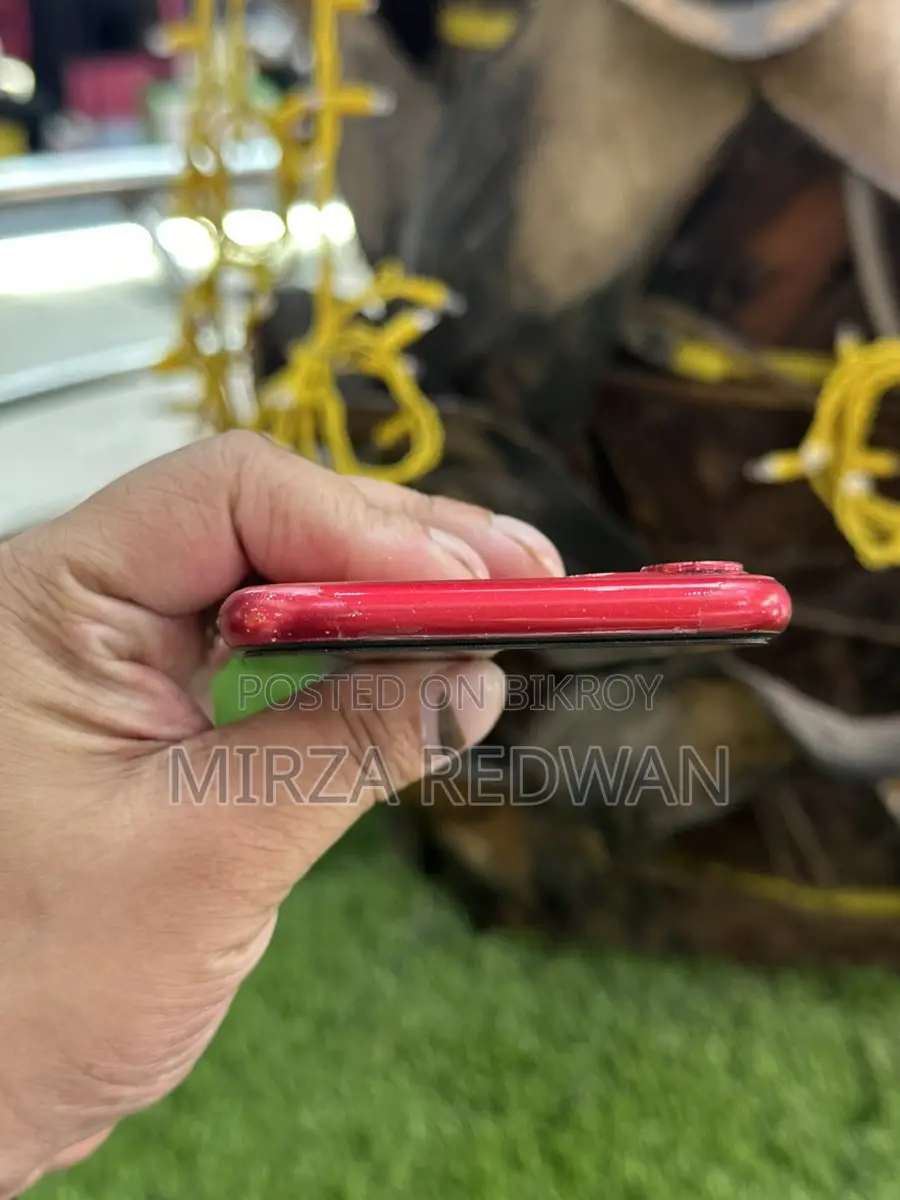 Apple iPhone 11 (ব্যবহৃত)