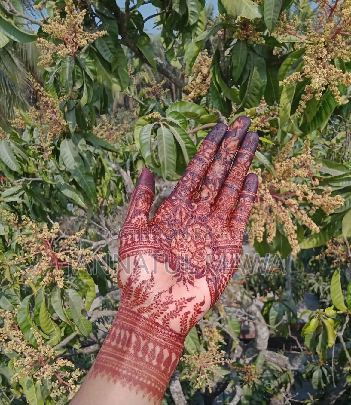 1 Piece Organic Henna.