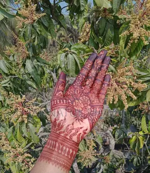 ১ পিচ অর্গানিক মেহেদি।
