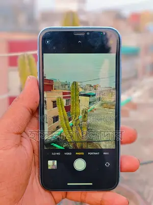 Apple iPhone XR (Used)
