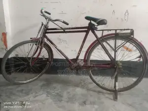 Duranta Bicycle for Sale