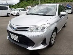 Toyota Axio (EX) 2020