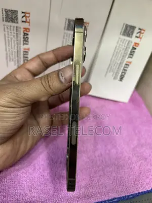 iPhone 13 Pro Max 100% Original Full Body