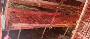 Chicken Cage