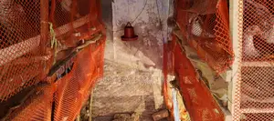 Chicken Cage
