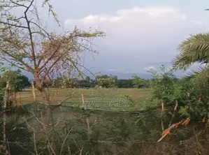 Land For Sale 2 Km Away From Mirsharai Economic Zone.